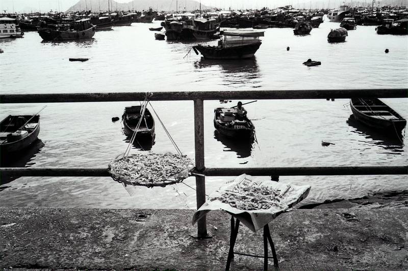 Fishermen on Cheung Chau island drying some of their catch - shrimps.